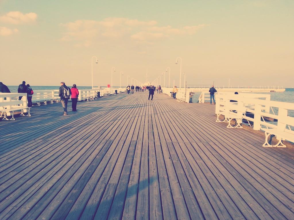 Haffnera 10